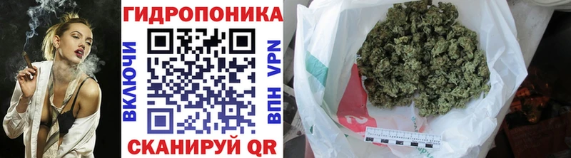 Канабис ГИДРОПОН Окуловка
